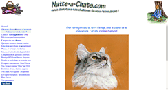 Desktop Screenshot of natte-a-chats.com