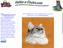 Tablet Screenshot of natte-a-chats.com